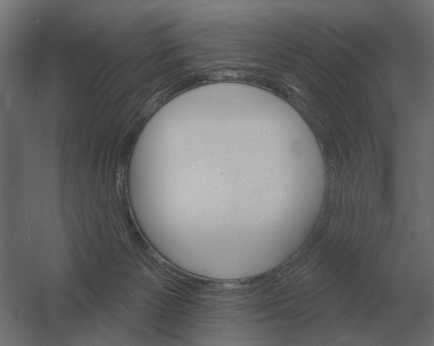 X0000052940125200507300028