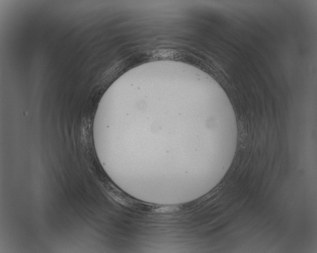 X0000052940126200507300028