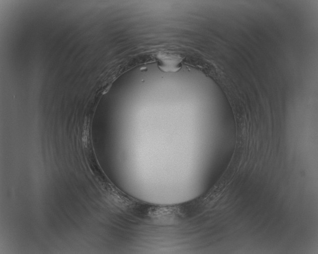 X0000052940129200507300028