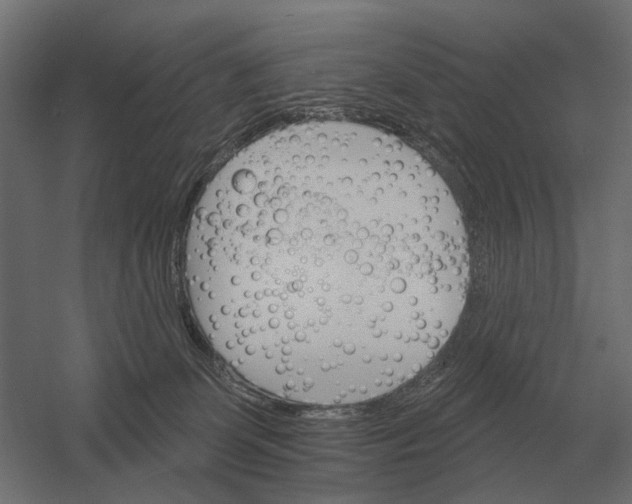 X0000052940131200507300028