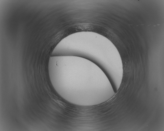 X0000052940132200507300028