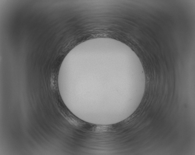 X0000052940134200507300028