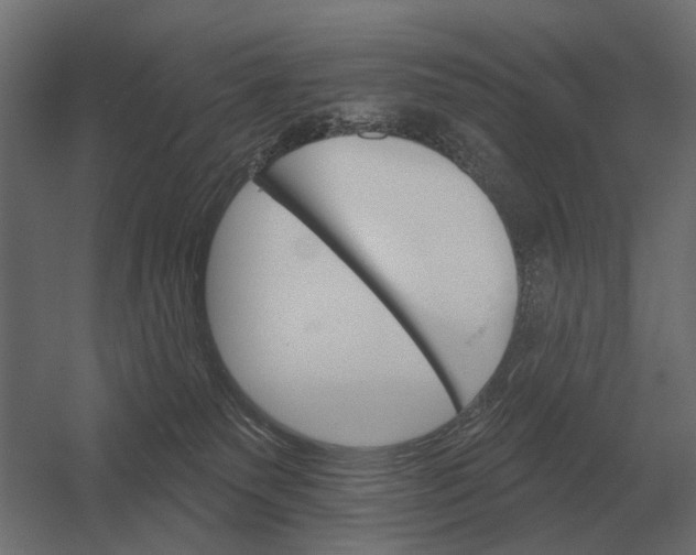 X0000052940135200507300028