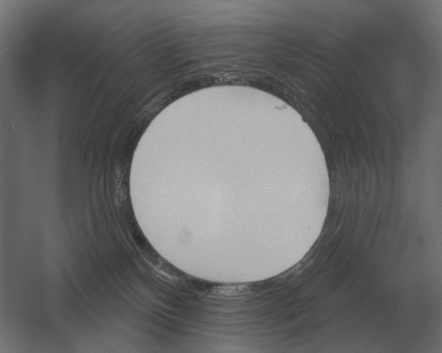 X0000052940136200507300028