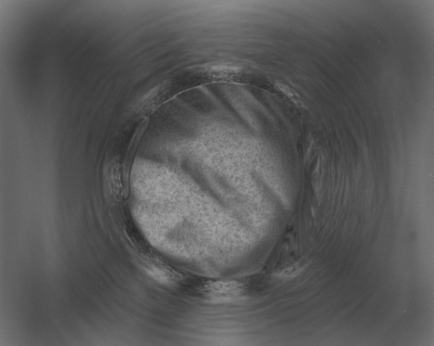 X0000052940137200507300028