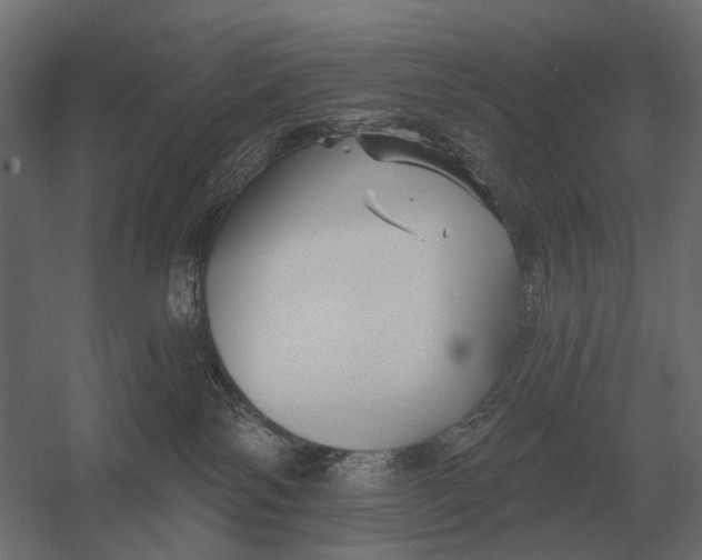 X0000052940138200507300028