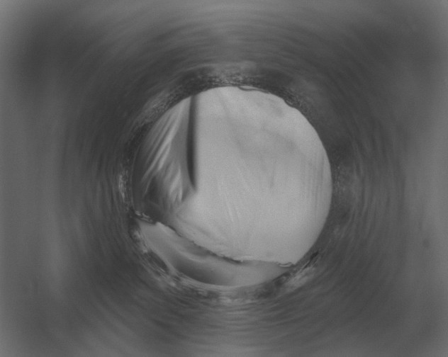 X0000052940139200507300028