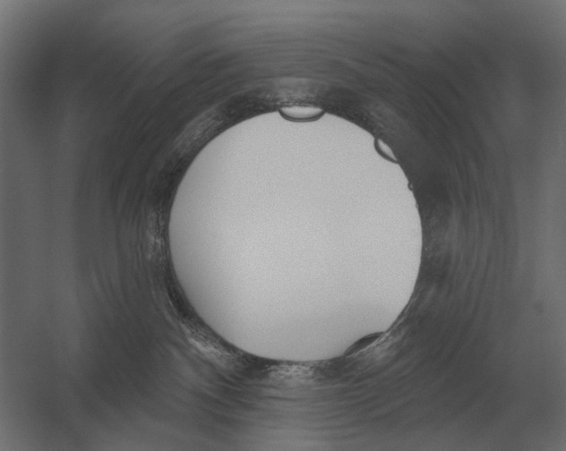 X0000052940140200507300028