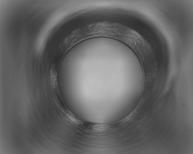 X0000052940142200507300028