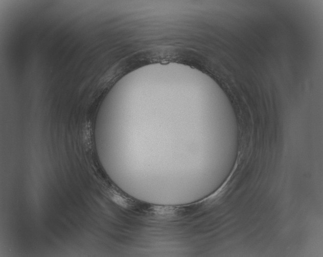 X0000052940144200507300028