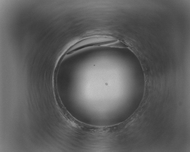 X0000052940148200507300027