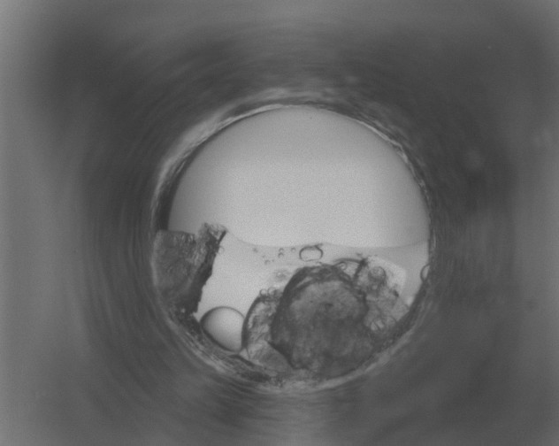 X0000052940149200507300027