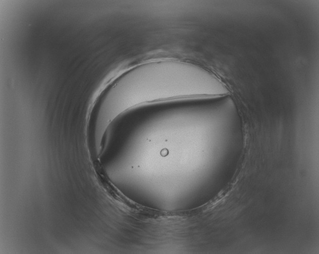 X0000052940150200507300027