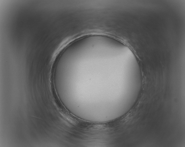 X0000052940151200507300027