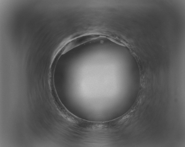 X0000052940152200507300027