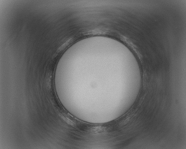 X0000052940153200507300027