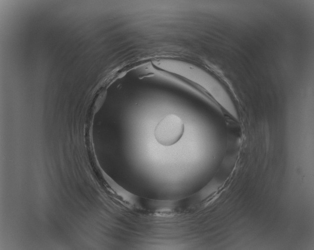 X0000052940154200507300027