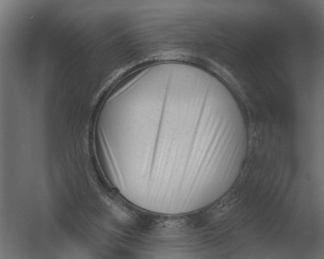 X0000052940155200507300027