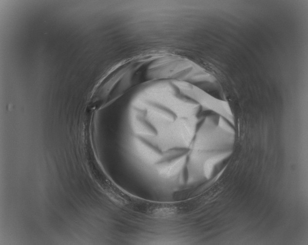 X0000052940156200507300027