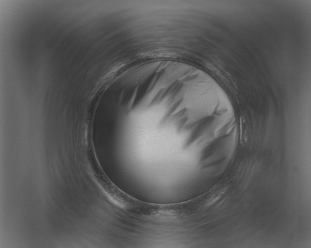 X0000052940157200507300027