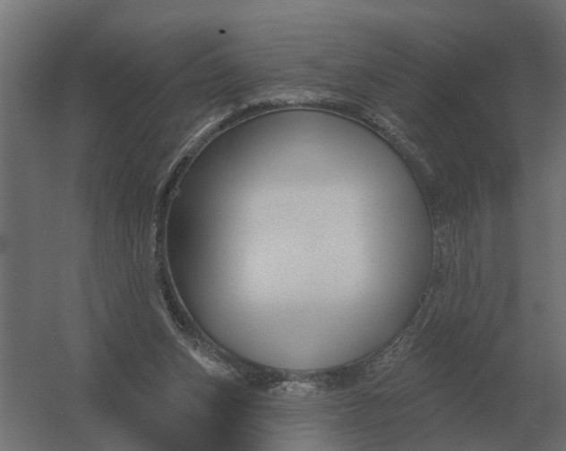 X0000052940159200507300027