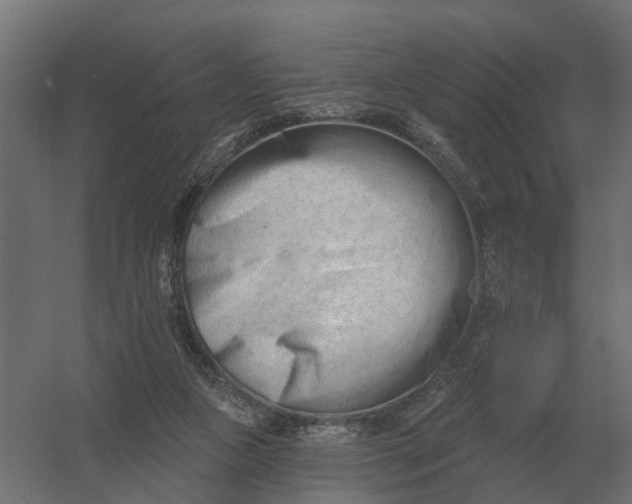 X0000052940161200507300027