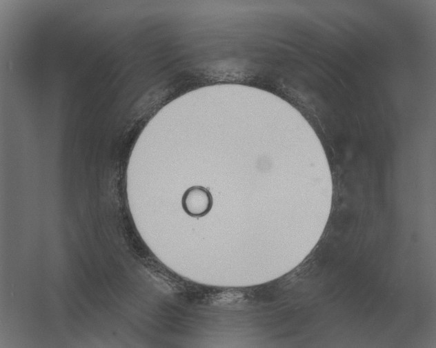 X0000052940162200507300027