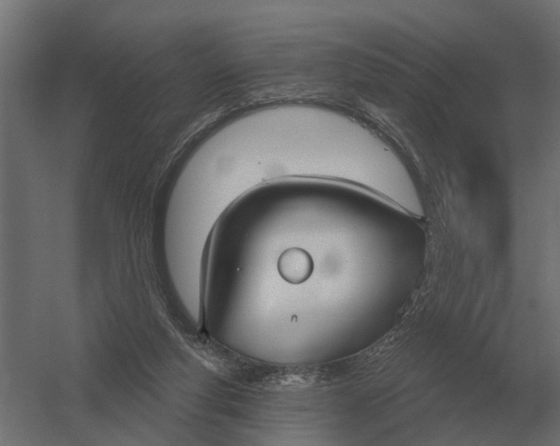 X0000052940163200507300027