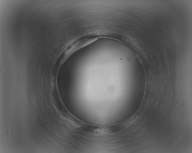 X0000052940164200507300027