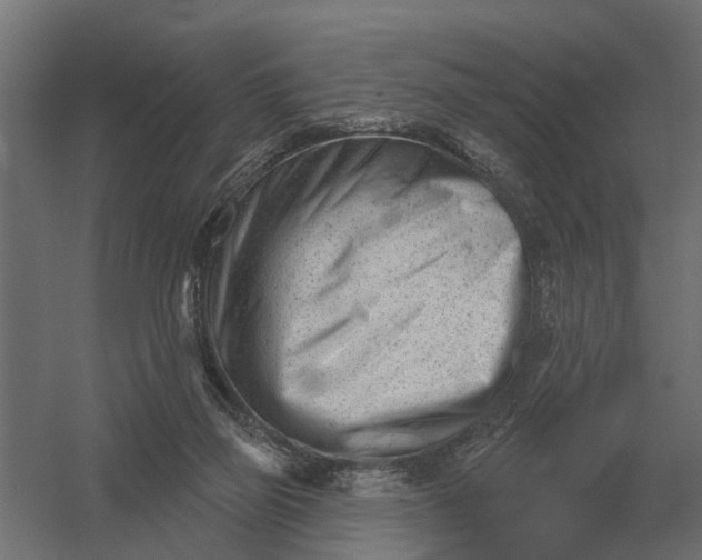 X0000052940165200507300027