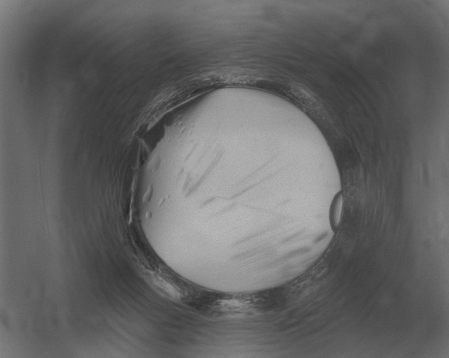 X0000052940167200507300027