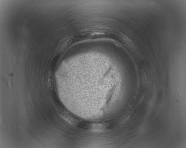 X0000052940169200507300028