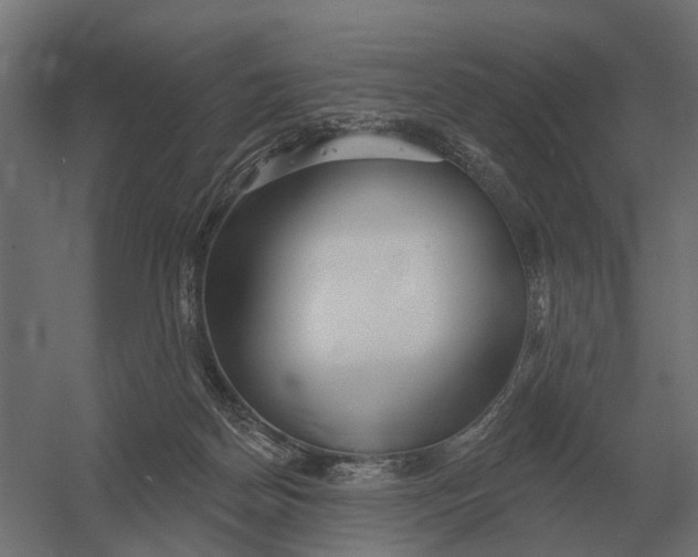 X0000052940170200507300028