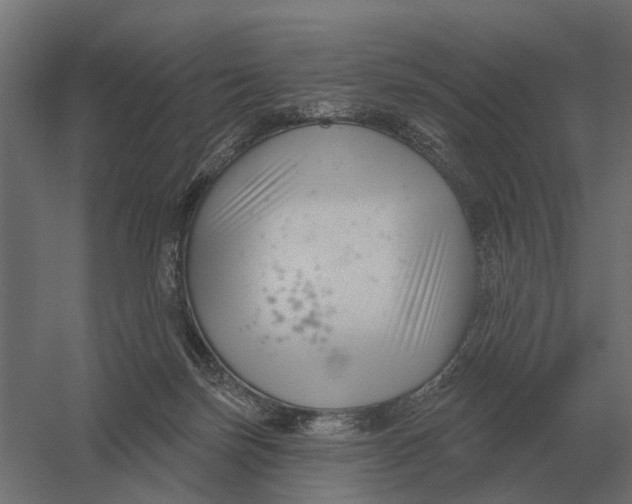 X0000052940171200507300028