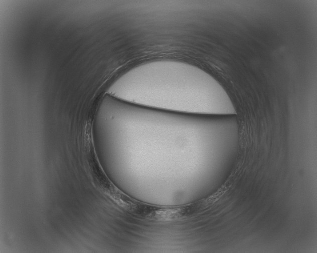 X0000052940172200507300028