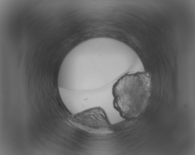 X0000052940173200507300028