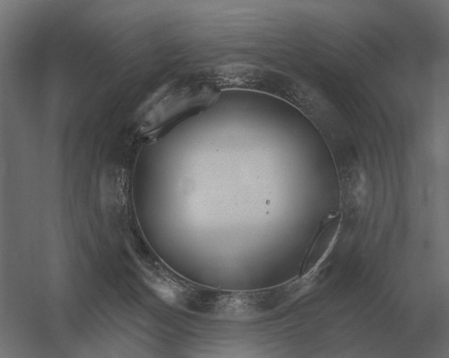 X0000052940174200507300028