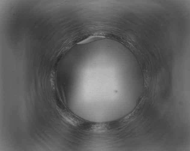 X0000052940175200507300028