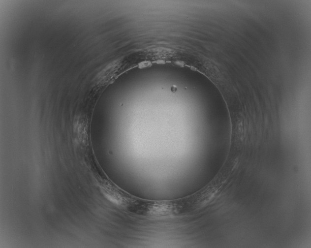 X0000052940177200507300028