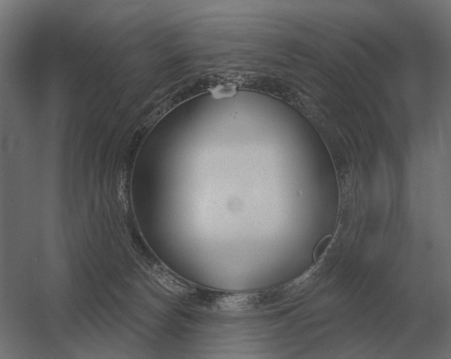 X0000052940178200507300028