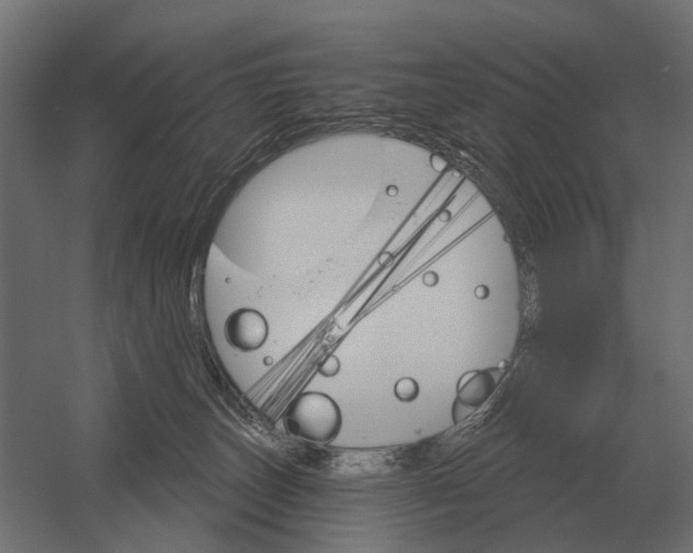 X0000052940179200507300028