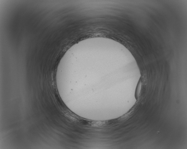 X0000052940182200507300028