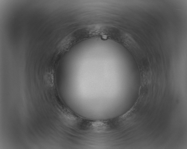 X0000052940183200507300028