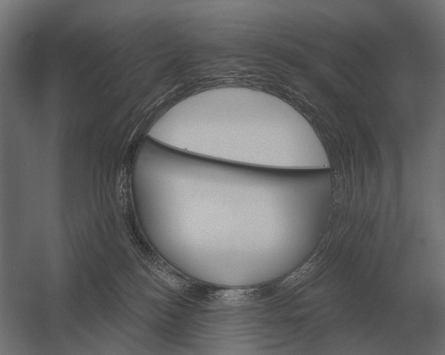 X0000052940184200507300028