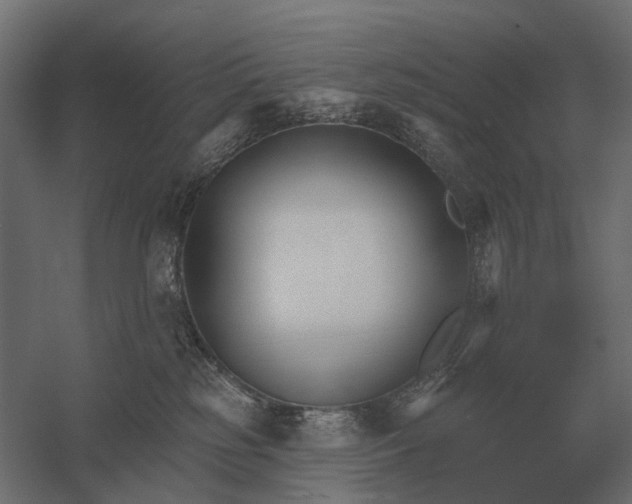 X0000052940185200507300028