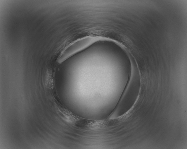 X0000052940186200507300028