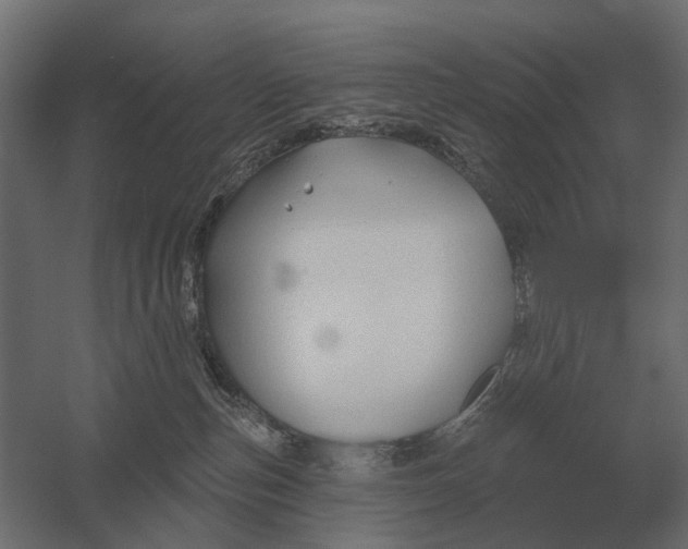 X0000052940187200507300028