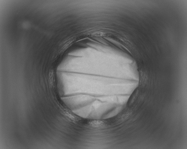 X0000052940189200507300028