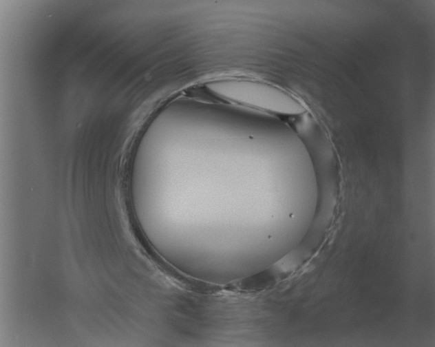 X0000052940193200507300027