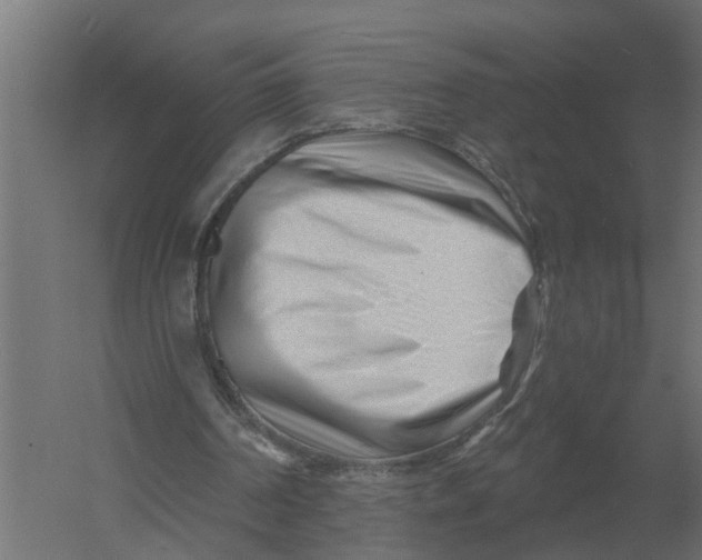 X0000052940194200507300027